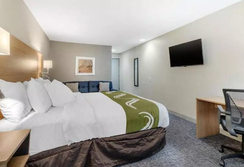 Hotelli Quality Inn Downtown  Near Market Square