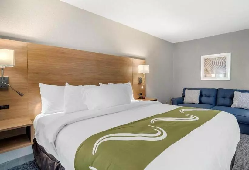 Hotelli Quality Inn Downtown  Near Market Square