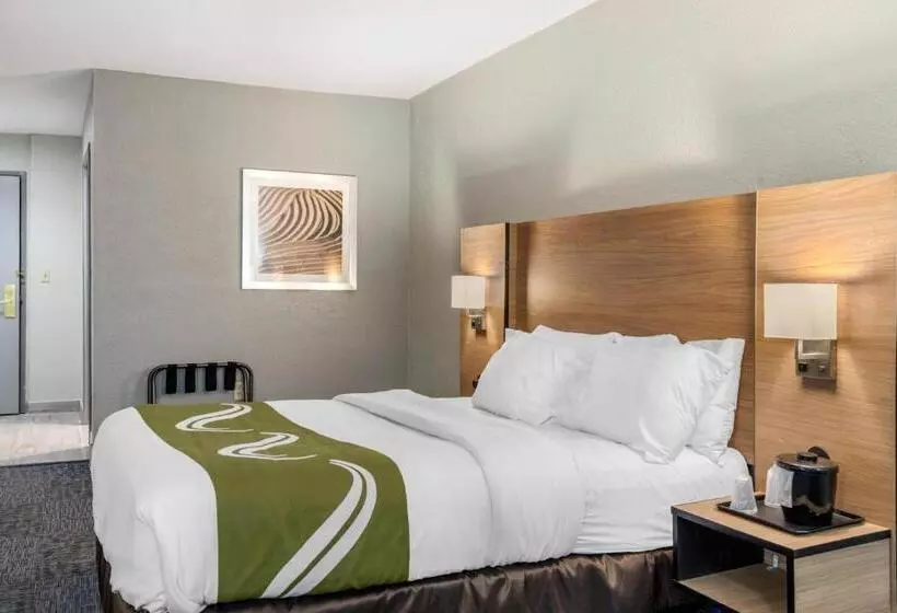 Hotelli Quality Inn Downtown  Near Market Square