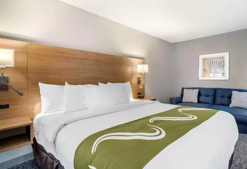 Hotelli Quality Inn Downtown  Near Market Square