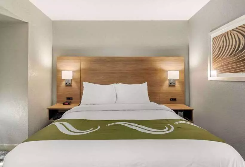 Hotelli Quality Inn Downtown  Near Market Square