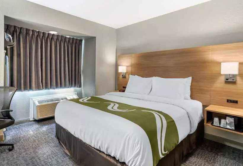 Hotelli Quality Inn Downtown  Near Market Square