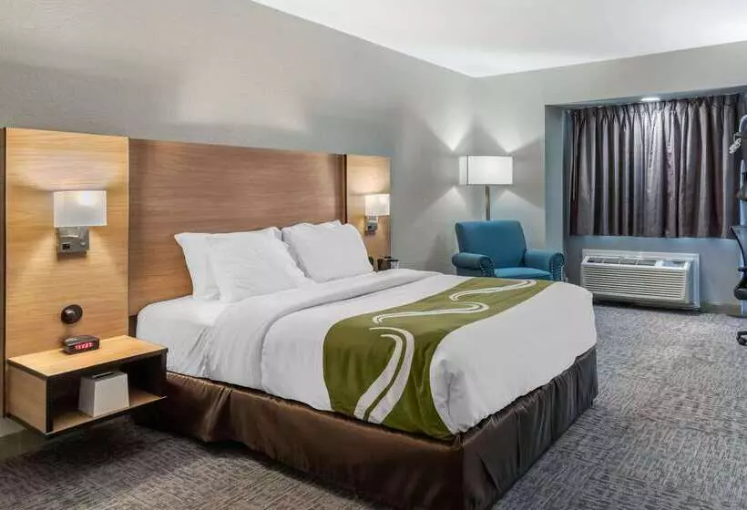 Hotelli Quality Inn Downtown  Near Market Square