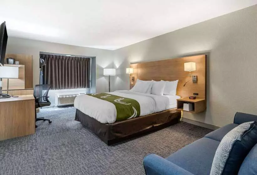 Hotelli Quality Inn Downtown  Near Market Square