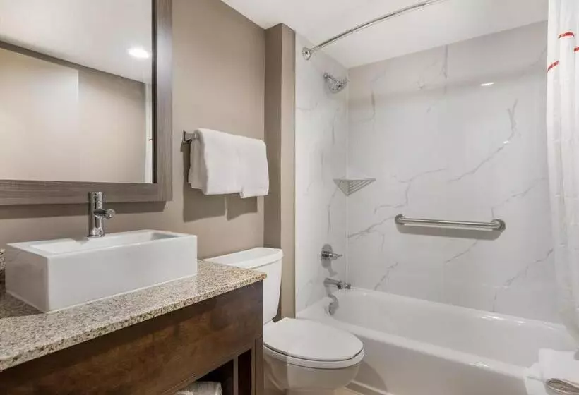 בית מלון כפרי Red Roof Inn Sulphur