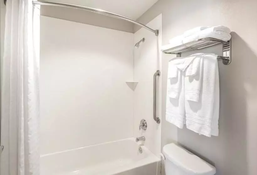 Microtel By Wyndham Victor