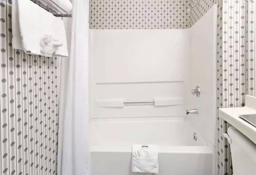 Microtel Inn & Suites By Wyndham Denver Airport