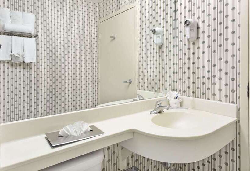 Microtel Inn & Suites By Wyndham Denver Airport