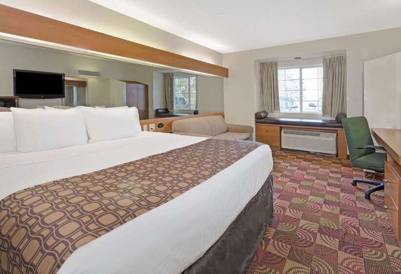 Microtel Inn & Suites By Wyndham Denver Airport