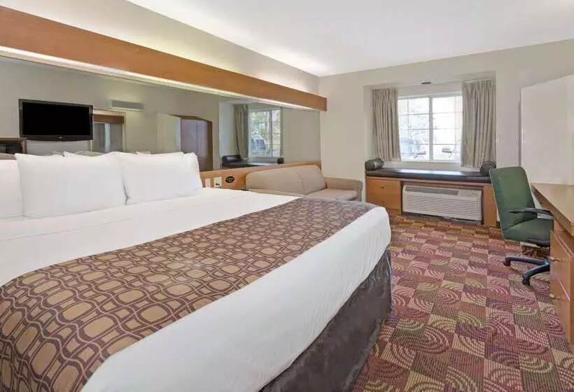 Microtel Inn & Suites By Wyndham Denver Airport