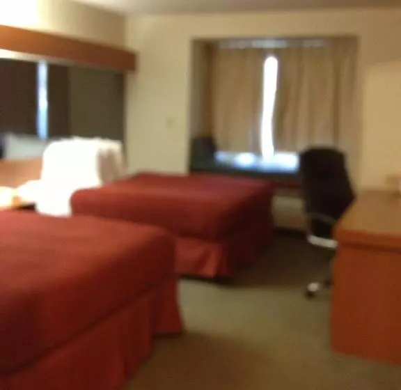 Microtel Inn & Suites By Wyndham Denver Airport