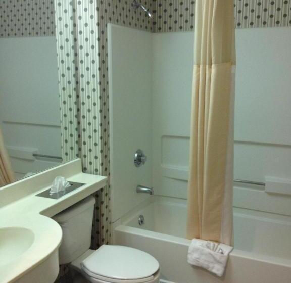 Microtel Inn & Suites By Wyndham Denver Airport