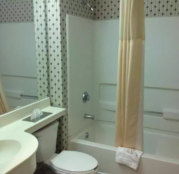 Microtel Inn & Suites By Wyndham Denver Airport