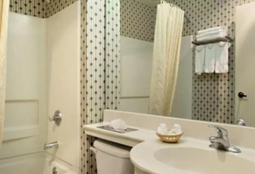 Microtel Inn & Suites By Wyndham Denver Airport