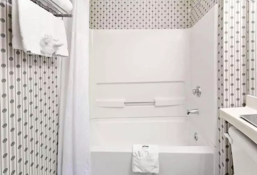 Microtel Inn & Suites By Wyndham Denver Airport