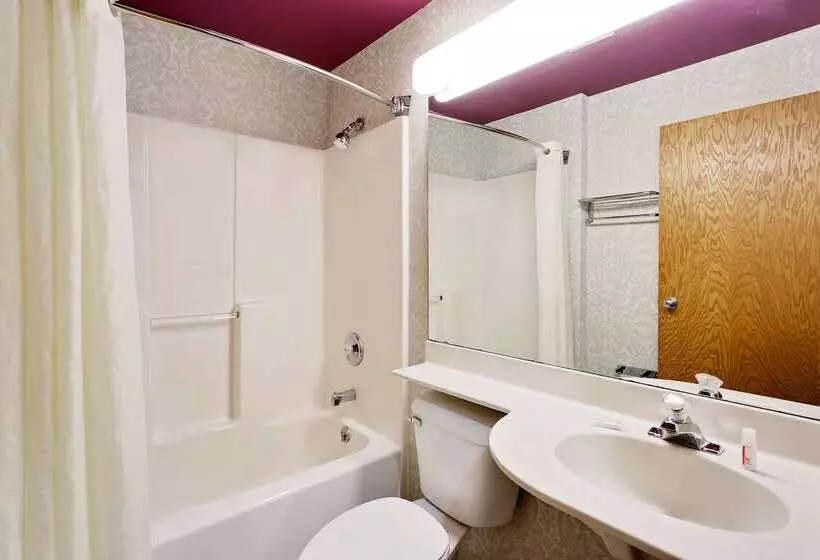 Microtel Inn & Suites By Wyndham Madison East