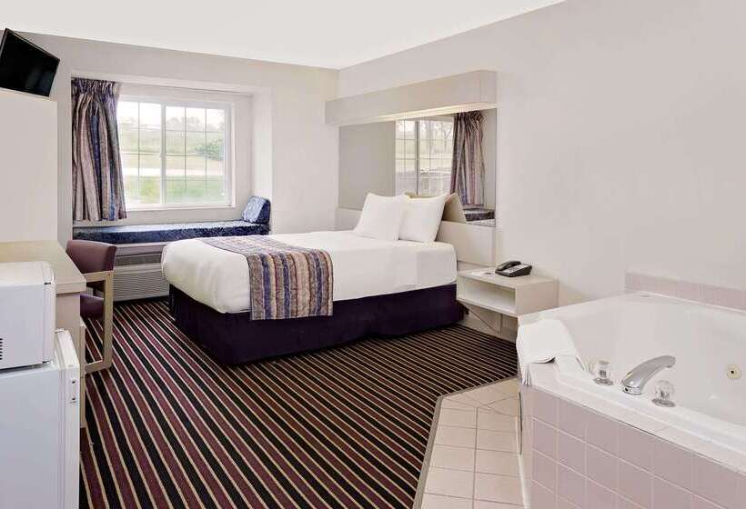 Microtel Inn & Suites By Wyndham Madison East