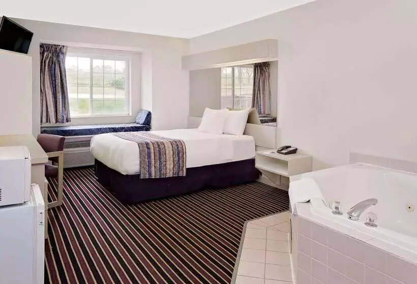 Microtel Inn & Suites By Wyndham Madison East