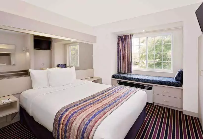 Microtel Inn & Suites By Wyndham Madison East