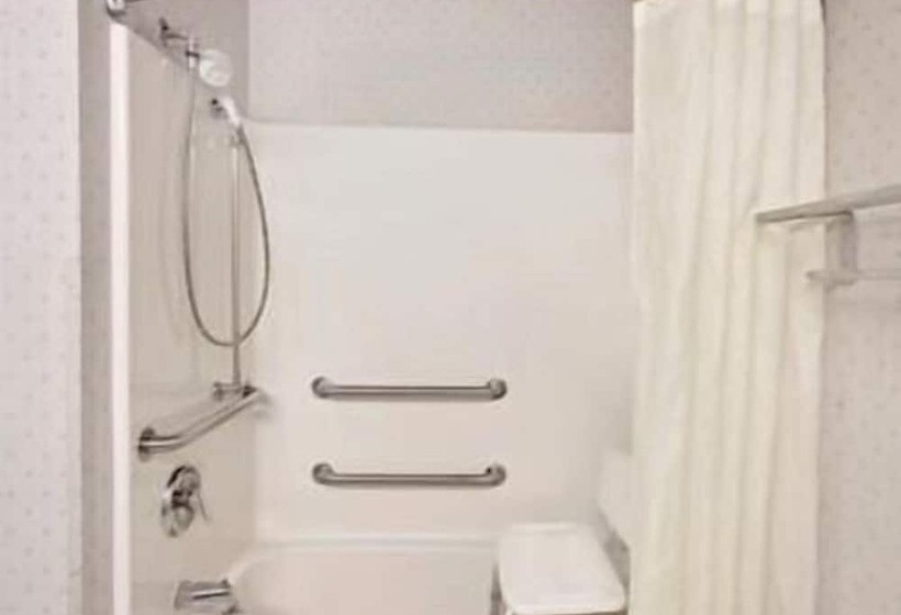 Microtel Inn & Suites By Wyndham Madison East