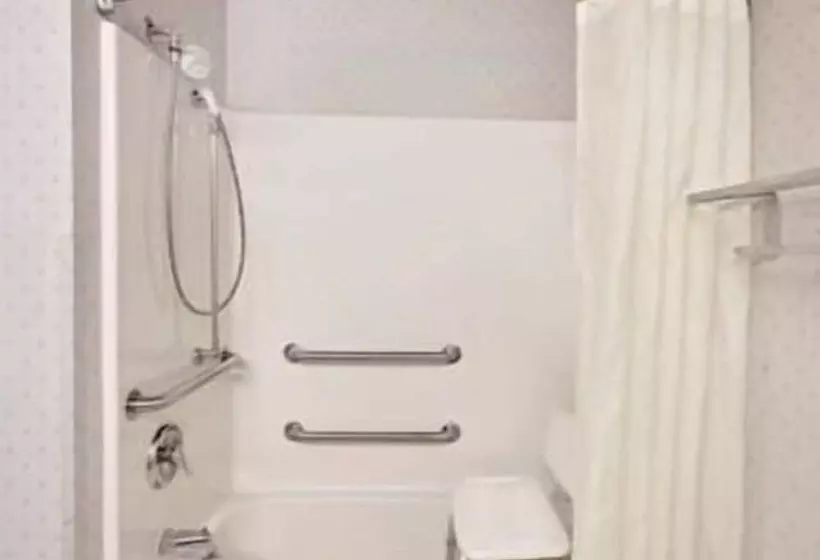 Microtel Inn & Suites By Wyndham Madison East