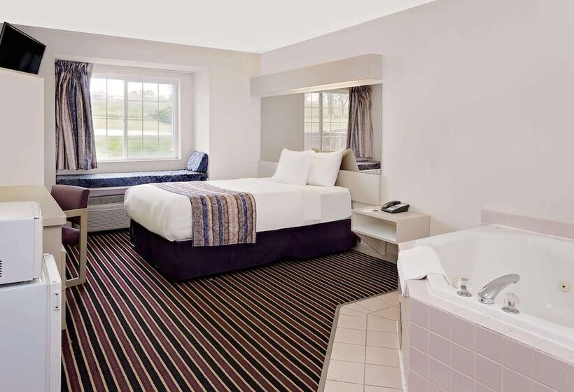 Microtel Inn & Suites By Wyndham Madison East