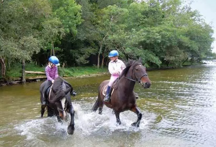 Hotelli Ross House Equestrian Holidays