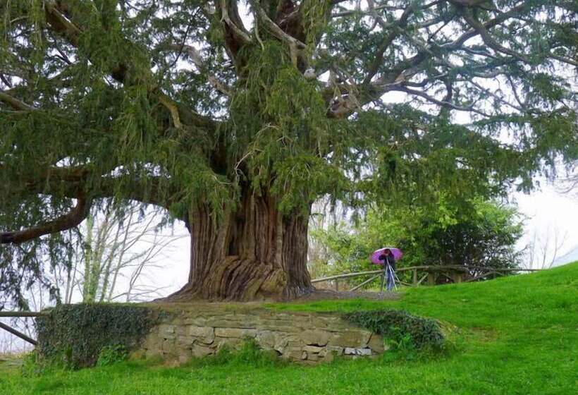 Alojamientos Rurales Valle De Bueida