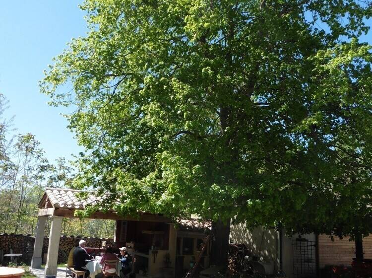 住宿加早餐 L Albane Chambres D Hotes