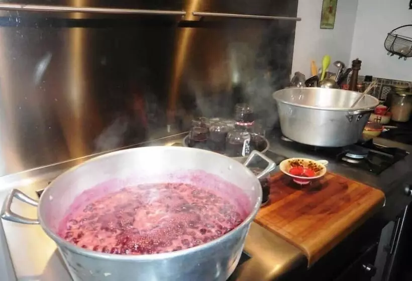 Aamiaismajoitus (B&B) L Albane Chambres D Hotes