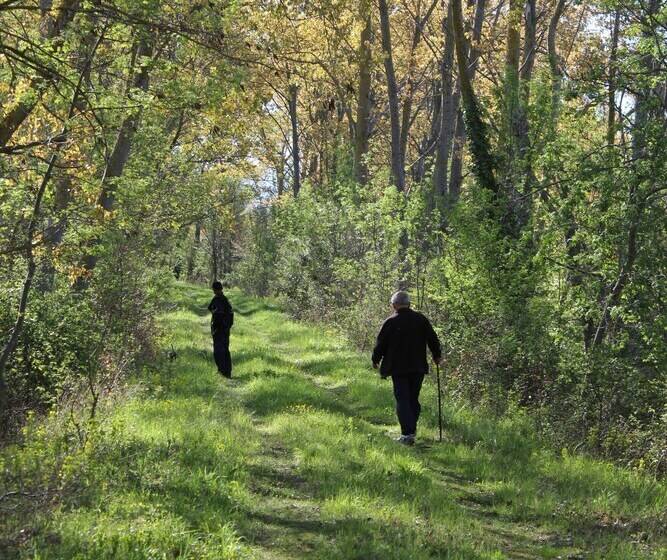 住宿加早餐 L Albane Chambres D Hotes