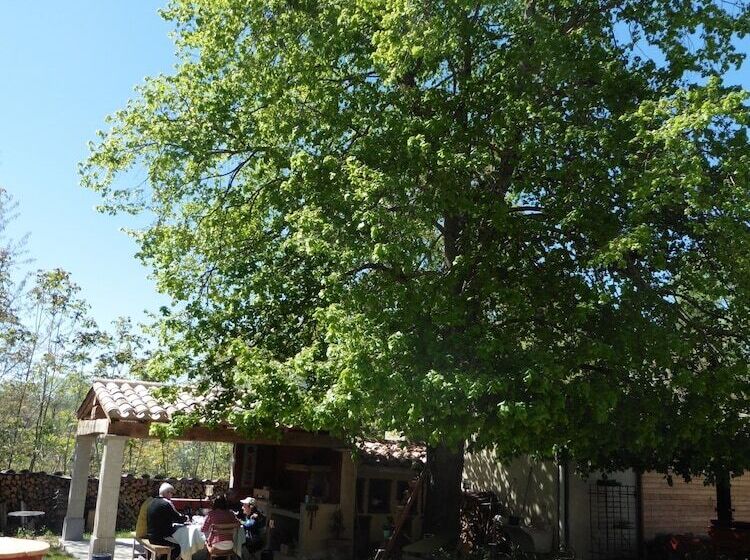 住宿加早餐 L Albane Chambres D Hotes