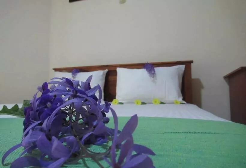 ペンション Kalindu Residence