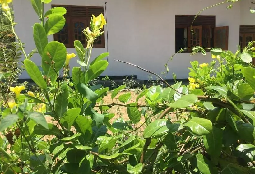 ペンション Kalindu Residence