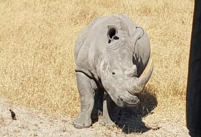 Majatalo Btv Guesthouse