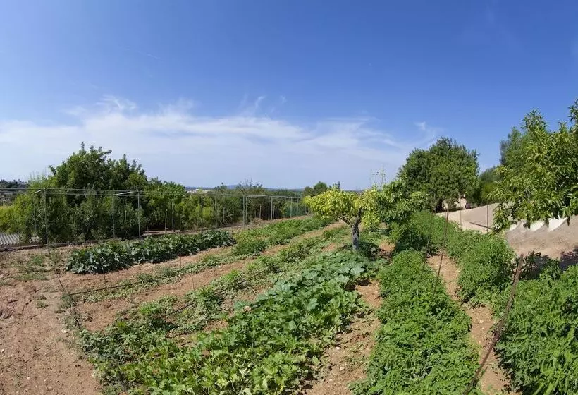 Villa Putxet