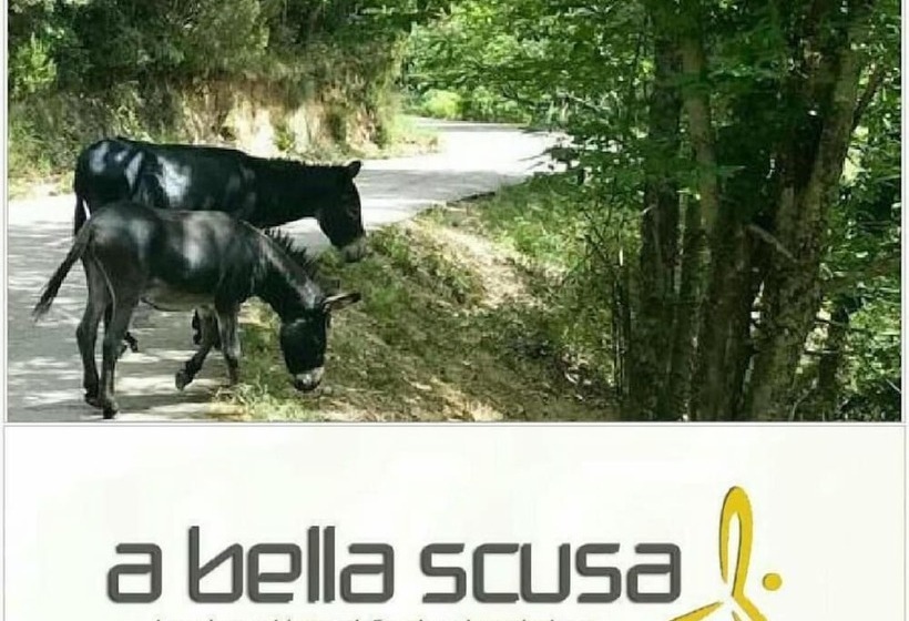 مبيت وإفطار A Bella Scusa