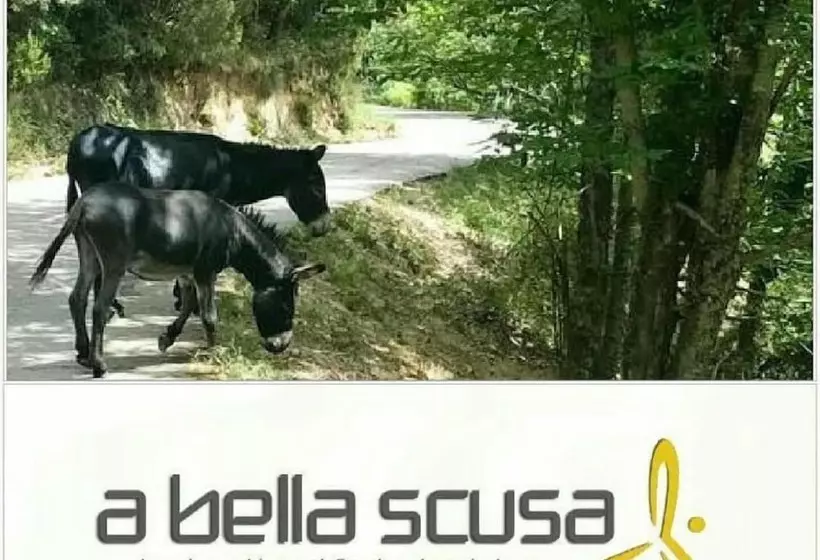 Aamiaismajoitus (B&B) A Bella Scusa