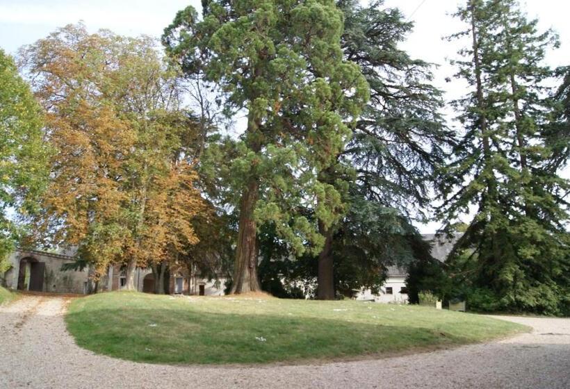 צימר Chateau De Rys