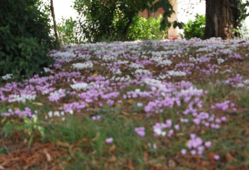 צימר Chateau De Rys