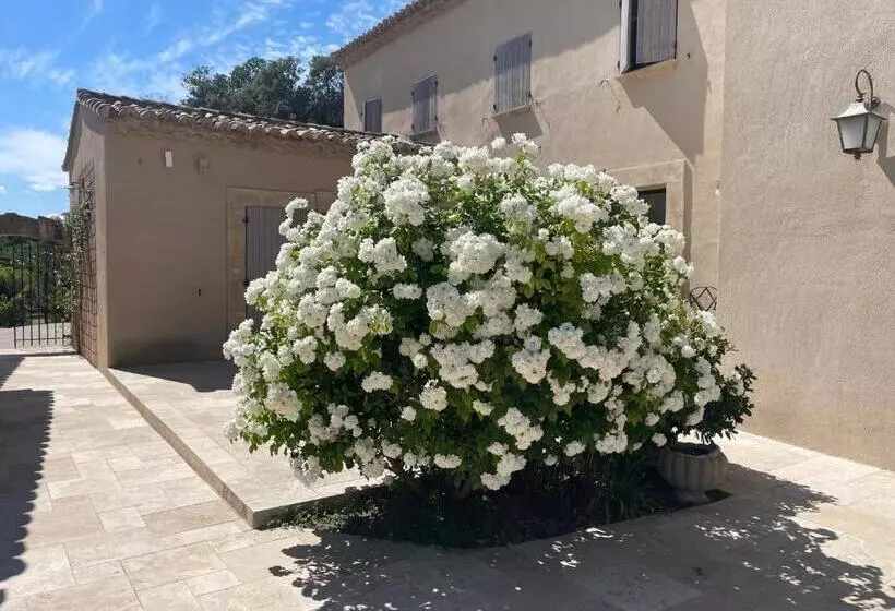Bed and Breakfast Côté Dentelles