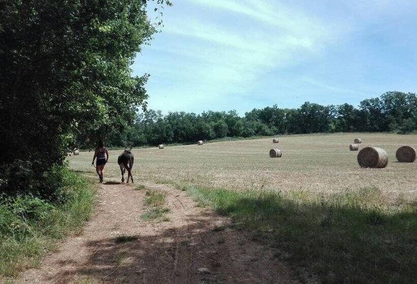 민박 Un Chemin En Quercy