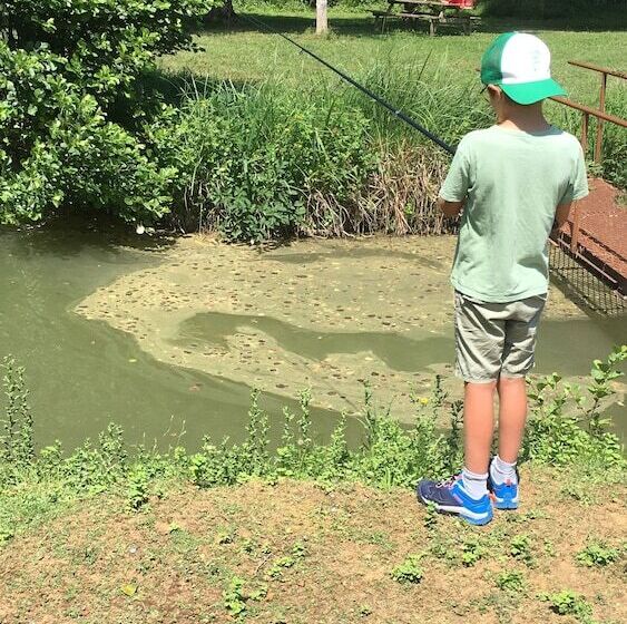 민박 Un Chemin En Quercy