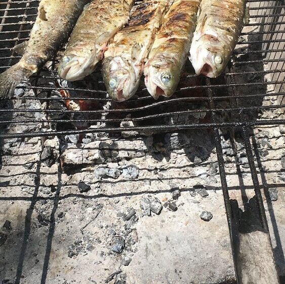 민박 Un Chemin En Quercy
