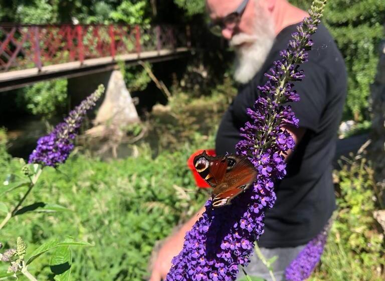 Le Surmelin Bed & Breakfast  Ombres