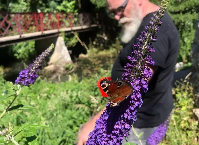 Le Surmelin Bed & Breakfast  Ombres