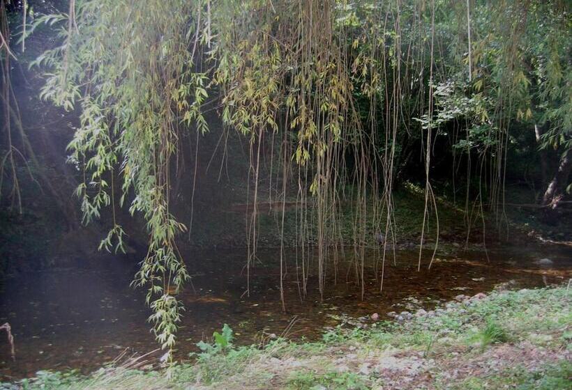 Пансион Hostal Rural Can Enric