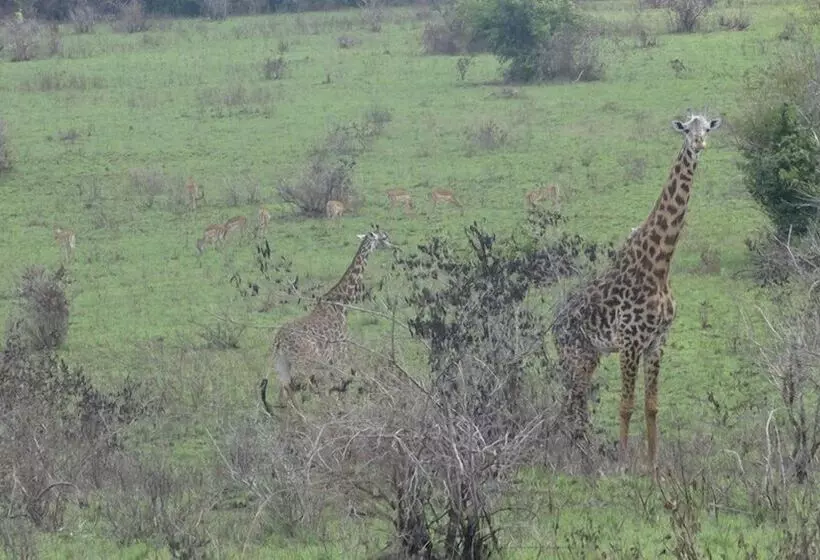 پانسیون Kwale Golden Guest House