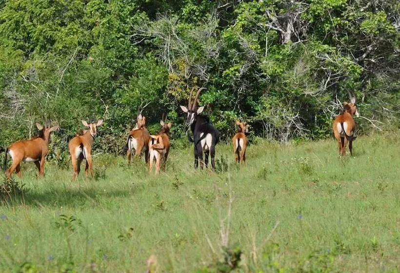 پانسیون Kwale Golden Guest House