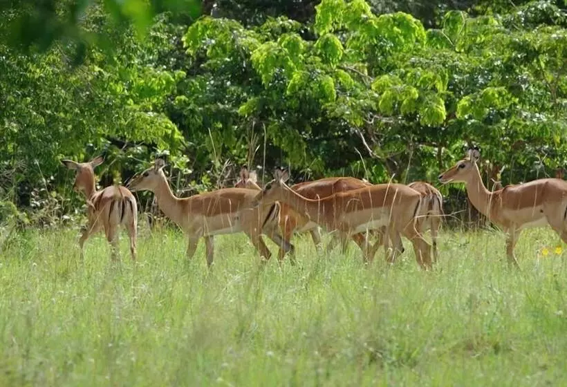 پانسیون Kwale Golden Guest House